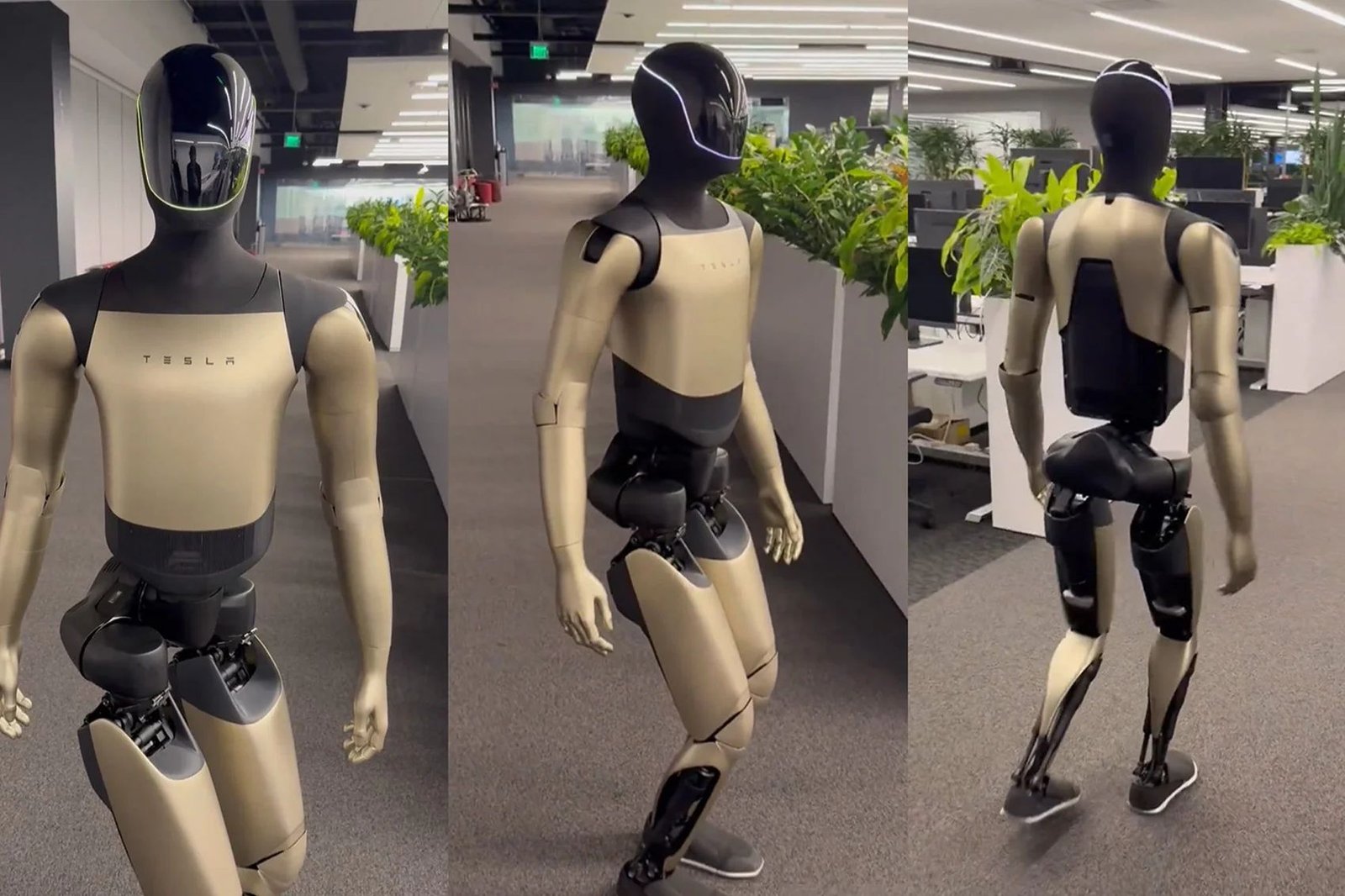 Tesla humanoidrobot ettevõtte kontoris