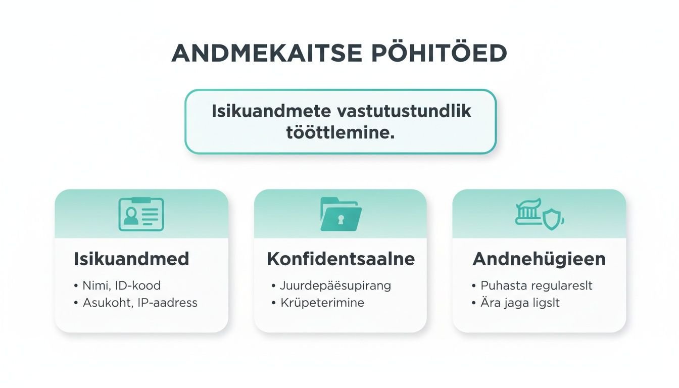 Skeem andmekaitse põhimõtetest, mis hõlmab isikuandmeid, konfidentsiaalsust ja andmehügieeni, keskendudes vastutustundlikule töötlemisele.