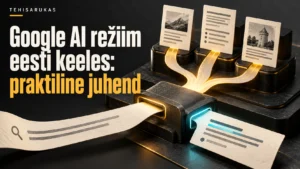 Google AI režiimi otsing, allikakaardid ja vastus Tehisaruka juhtpildil